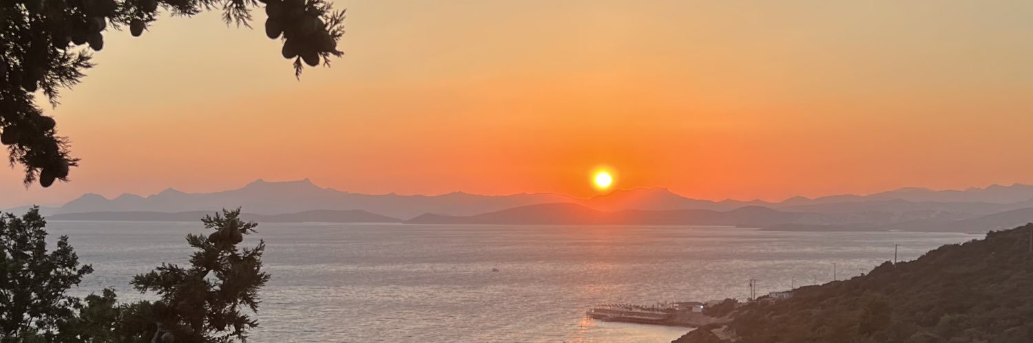 elifernli's profile banner image