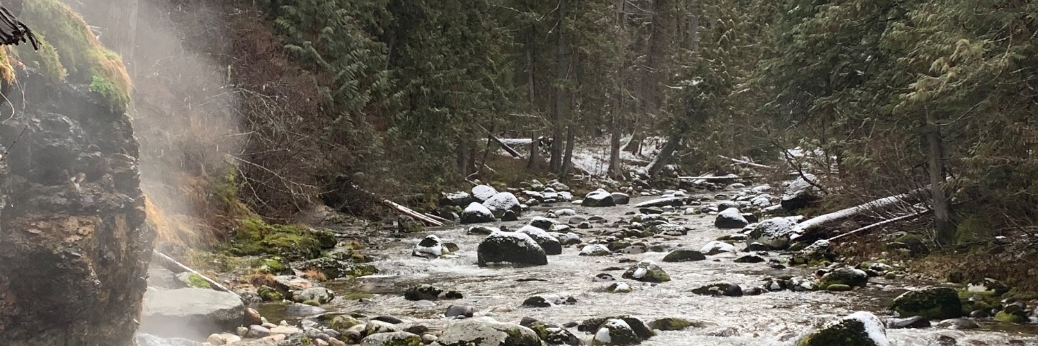 Dr. LeeAnn Hunter banner