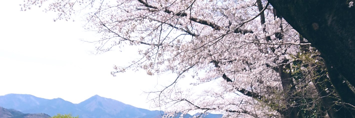 isumiyutu's profile banner image