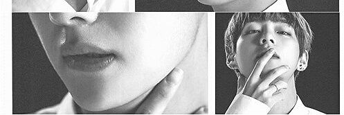 pentorpie's profile banner image
