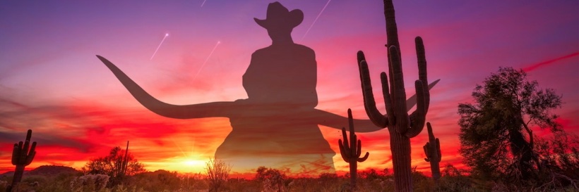 EarnhardtAuto's profile banner image