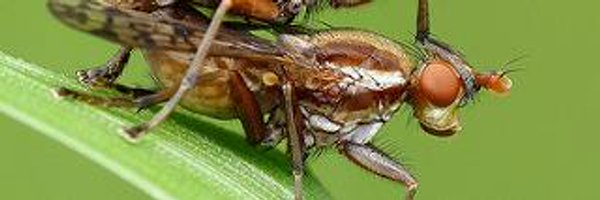 chrisdavidwill1 Profile Banner