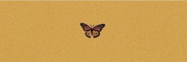 graceful🦋 banner