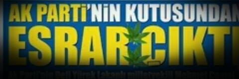 PlakArkasi's profile banner image