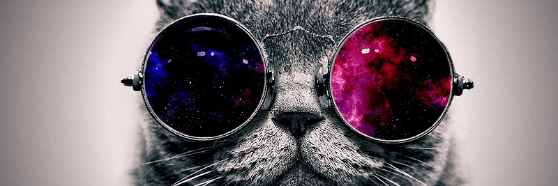 Mantecati's profile banner image