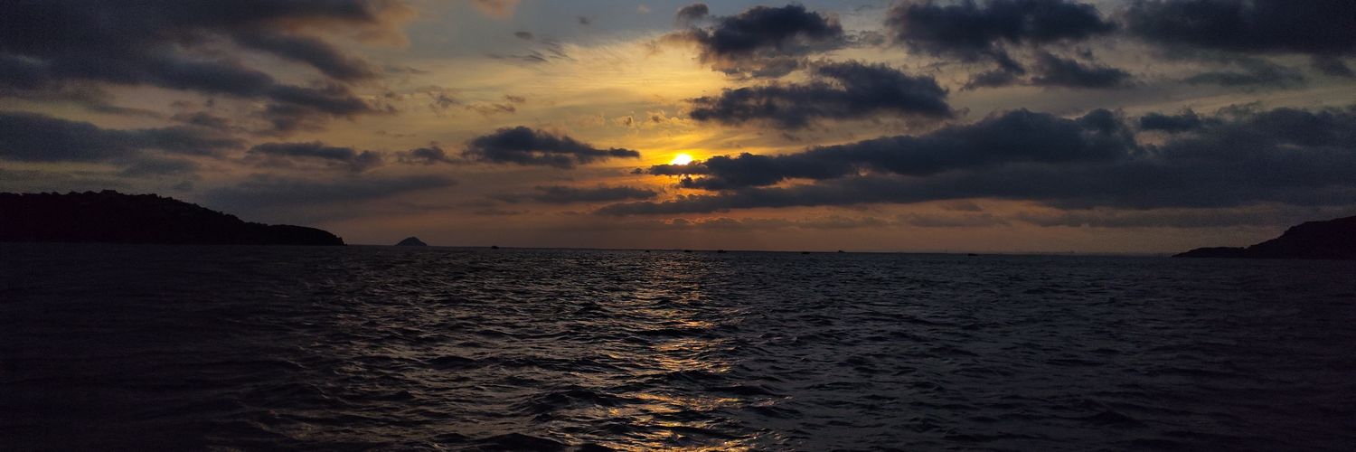 molasar__'s profile banner image