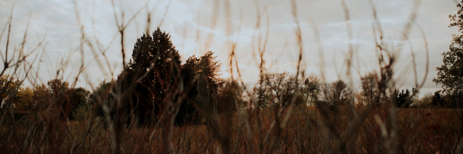 anymoremalarkey's profile banner image