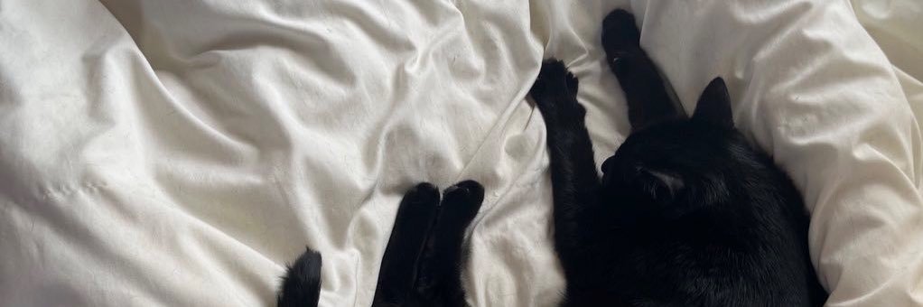 𝕂 ⋆ banner