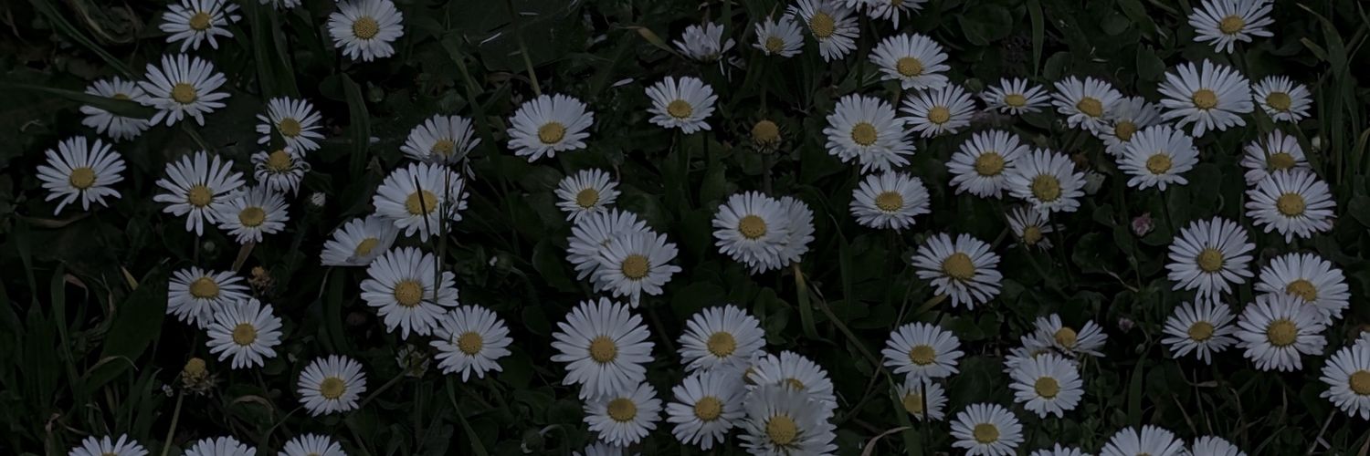 Flairen's profile banner image