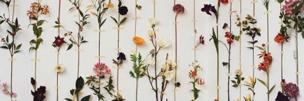 haznee79 Profile Banner