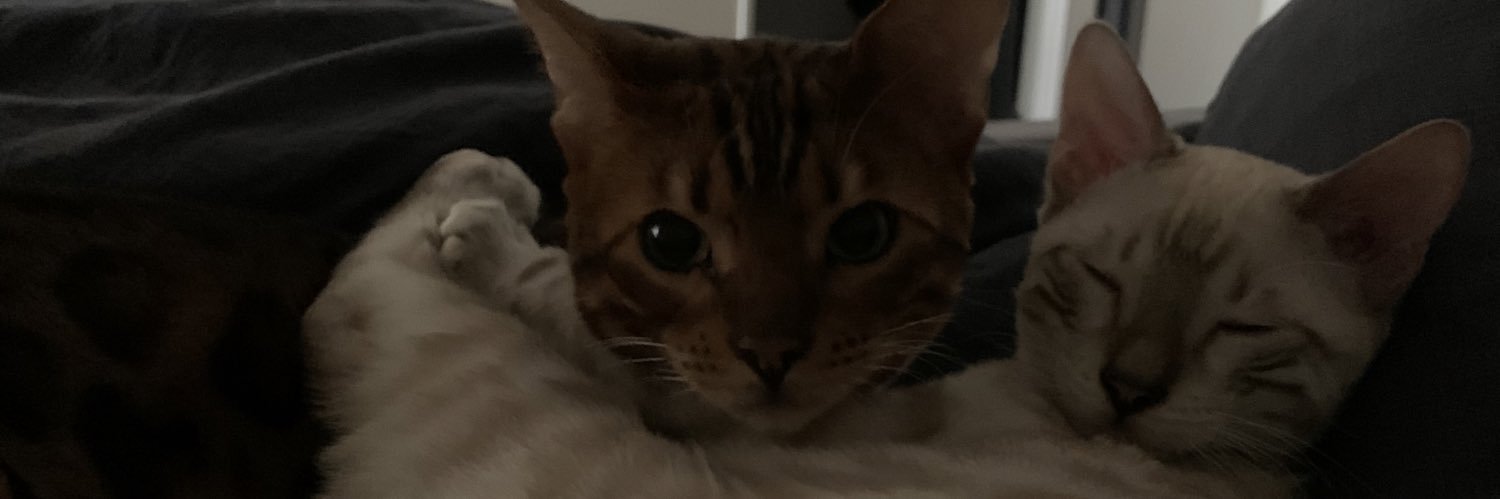 JonisYess's profile banner image
