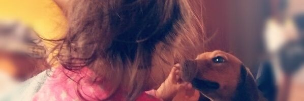 emilio banner