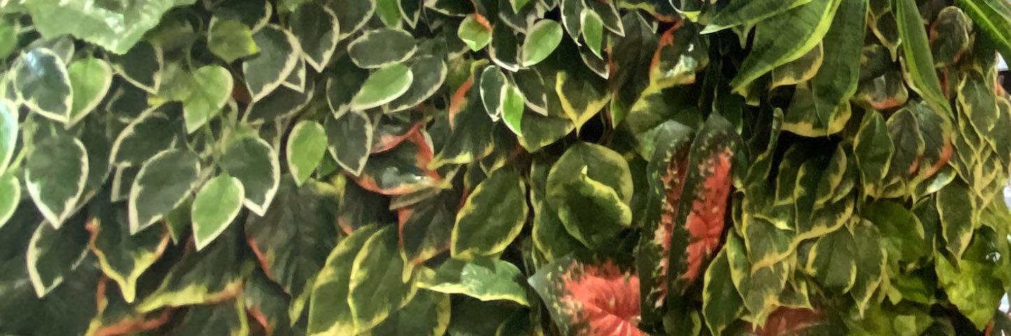 nahthannn's profile banner image