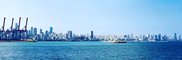 stinablomgren Profile Banner