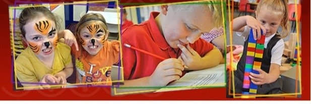 BearparkPrimary's profile banner image