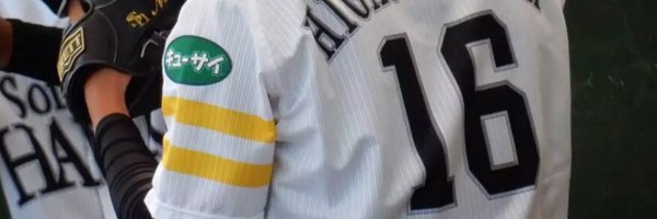 sh_524446 Profile Banner