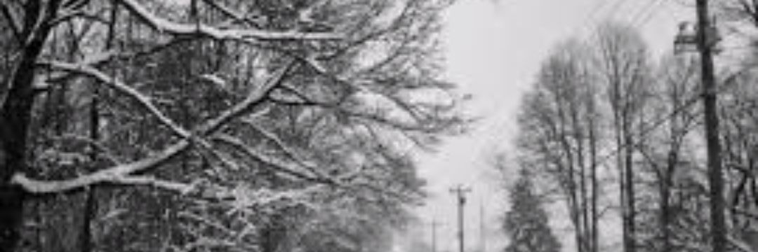 haneen876's profile banner image