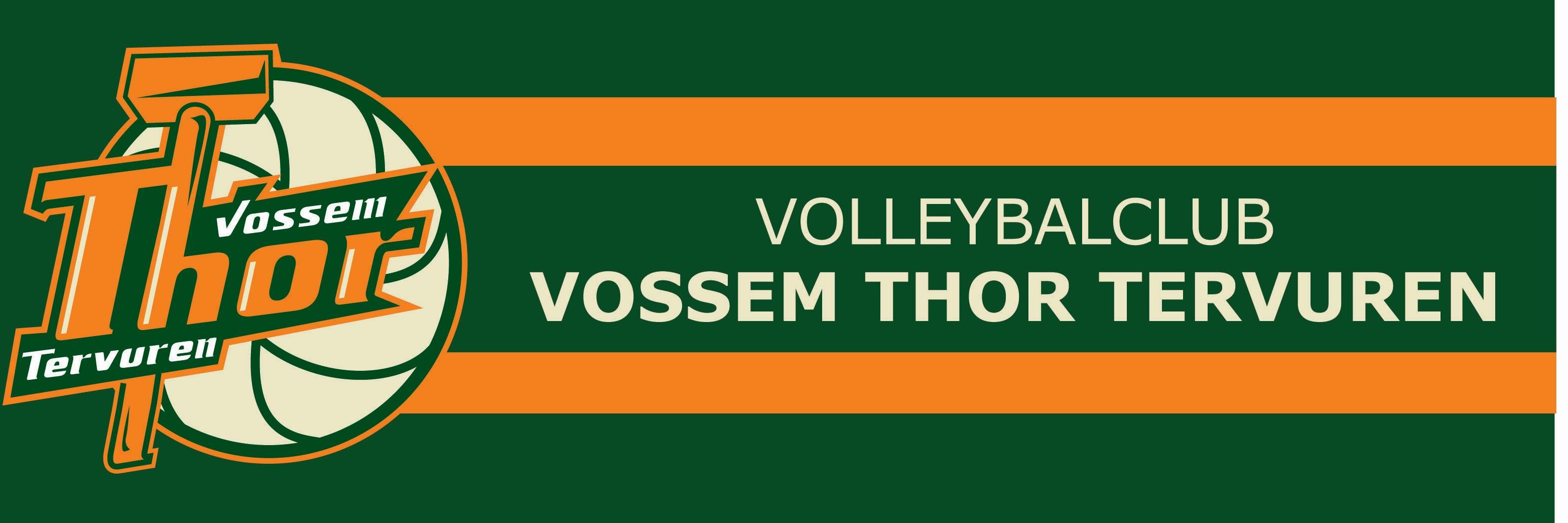 VThorT's profile banner image