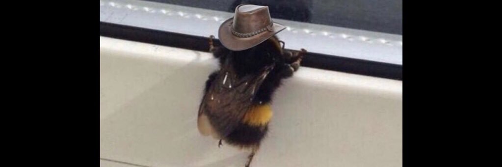 httpdotdumpweed's profile banner image