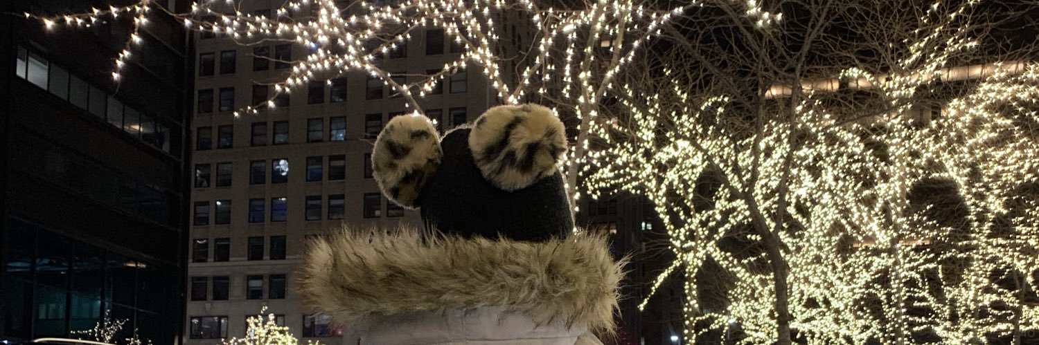 BeutifulDsaster's profile banner image