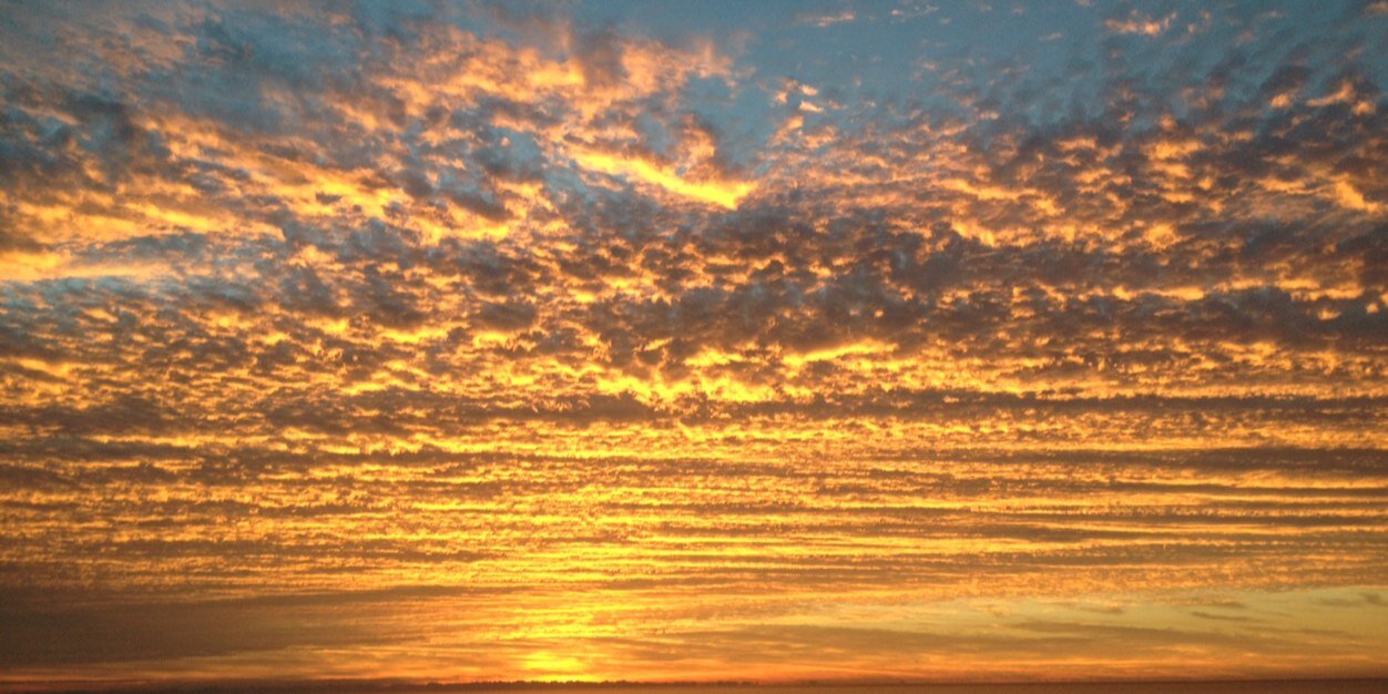 Kathy_K_'s profile banner image