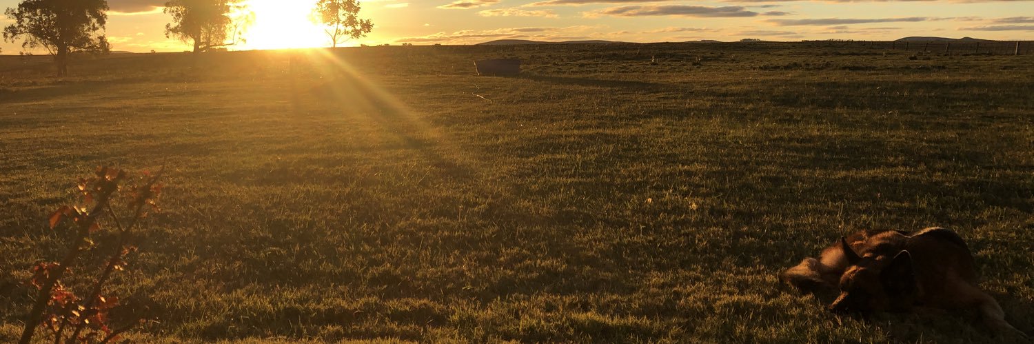 Santiago Gutiérrez Silva banner