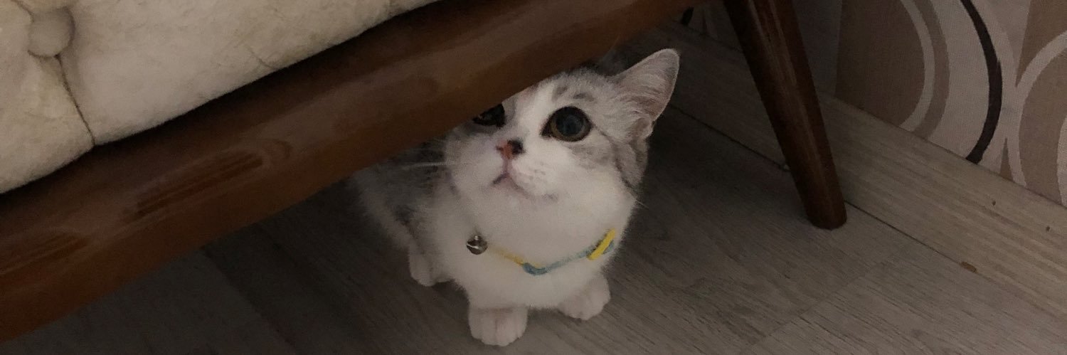 delalcimm's profile banner image