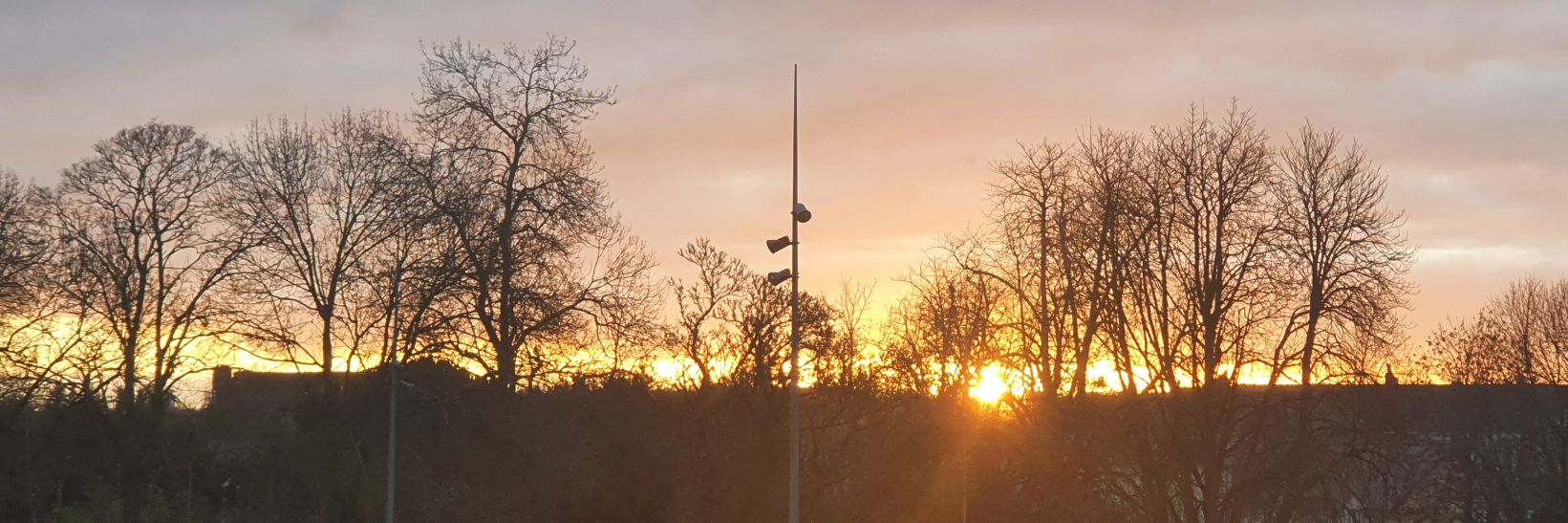 Pdsdlc's profile banner image