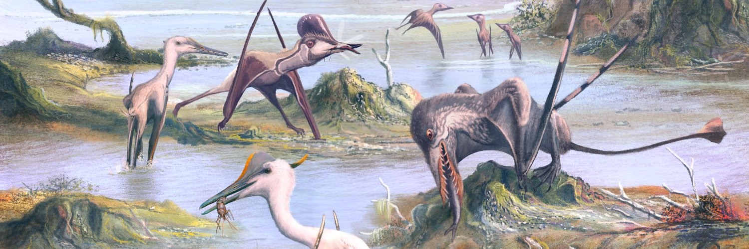 Jordan Bestwick banner