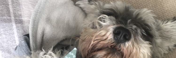 emmadow99's profile banner image