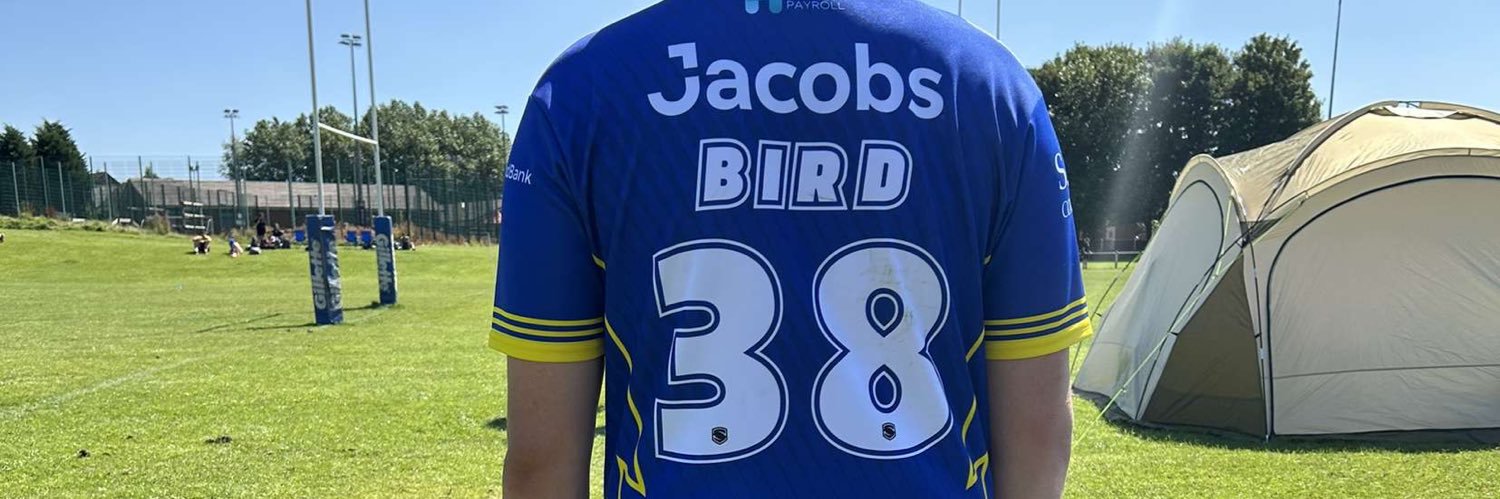 ronan_bird's profile banner image