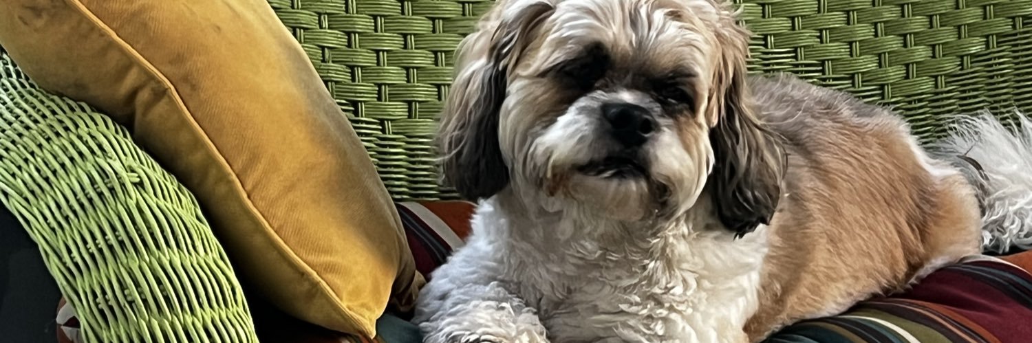 DebSellitto's profile banner image