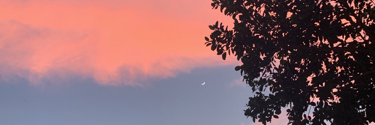 bandeda's profile banner image