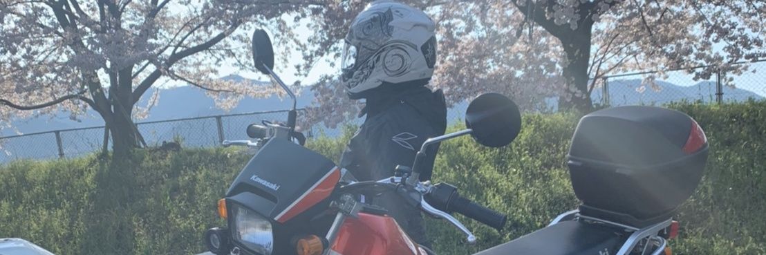 nyancorolo's profile banner image