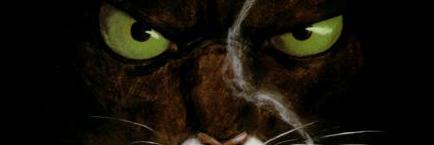 alnavgrau's profile banner image