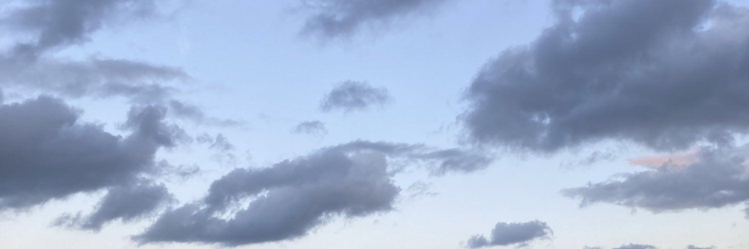manumainetti's profile banner image