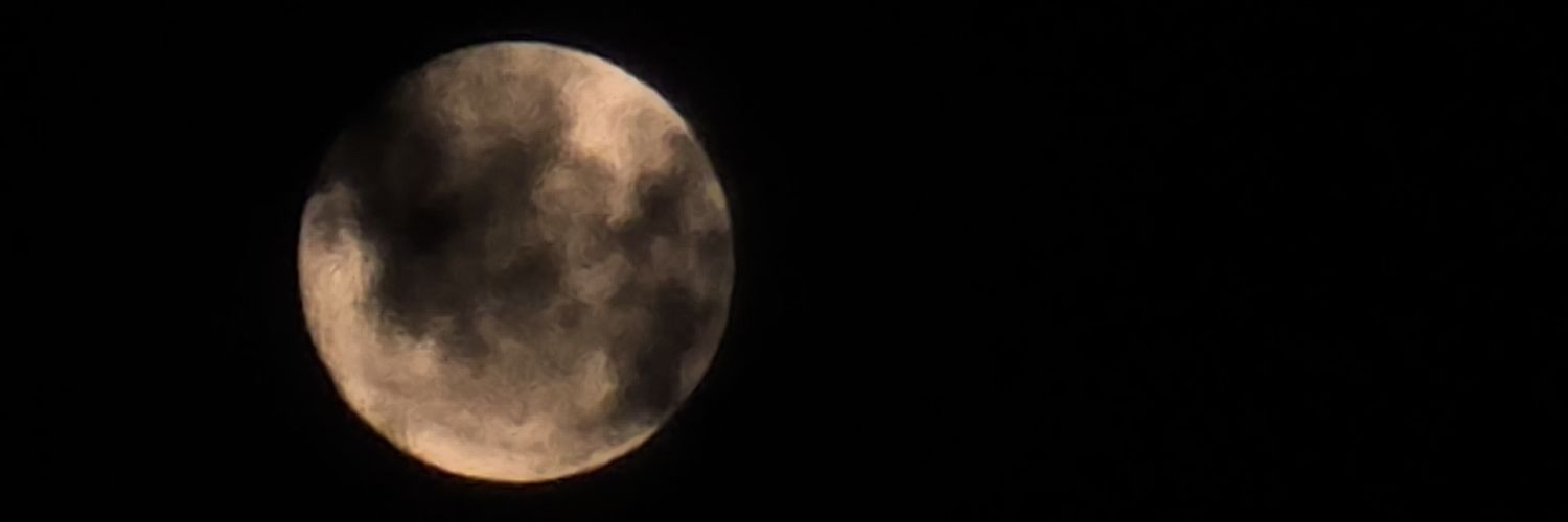 BeatrizEOsorio's profile banner image