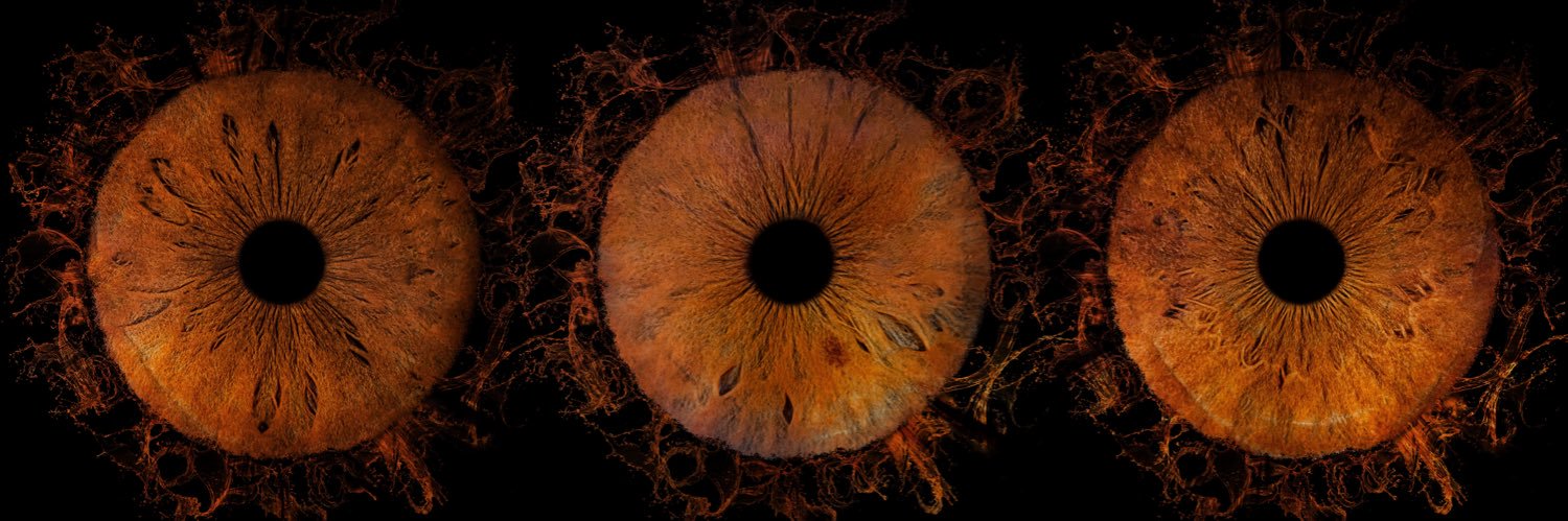 Raphsko banner