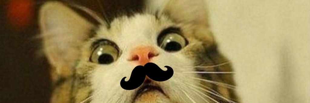 OddSoc's profile banner image