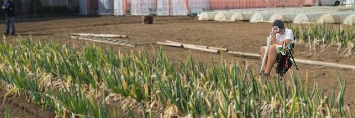 ぷりん(す)@競艇 banner