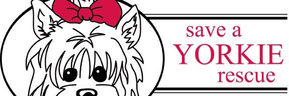 Save A Yorkie Rescue banner