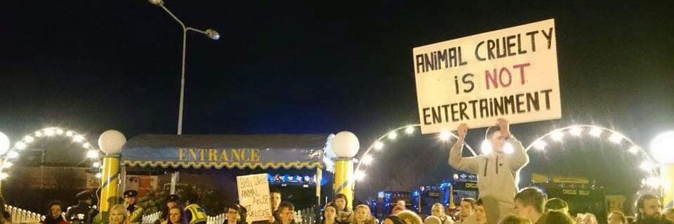 NFYE_7's profile banner image
