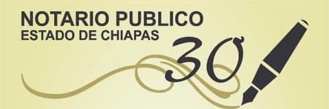 BRUNO FALCONI banner