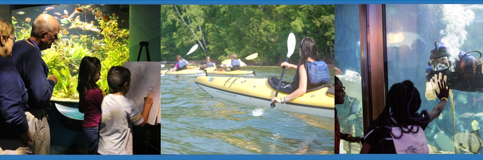 Learning with Shedd banner