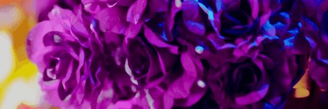 pu_tr_i's profile banner image