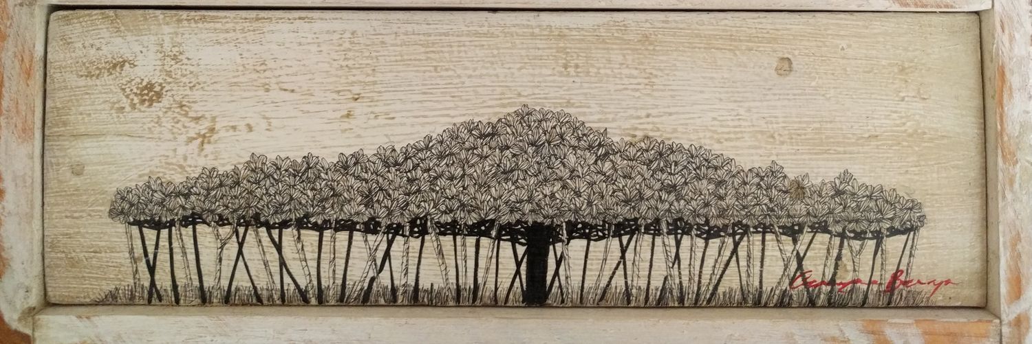 pedrorubioma's profile banner image