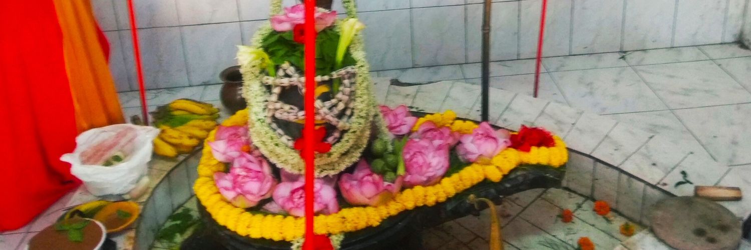 Vijaita Singh's banner