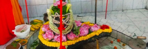 vijaita Profile Banner