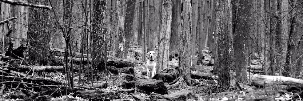 emilyschmidtj's profile banner image
