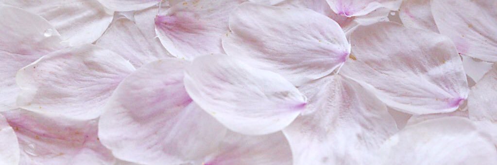 u_can121's profile banner image
